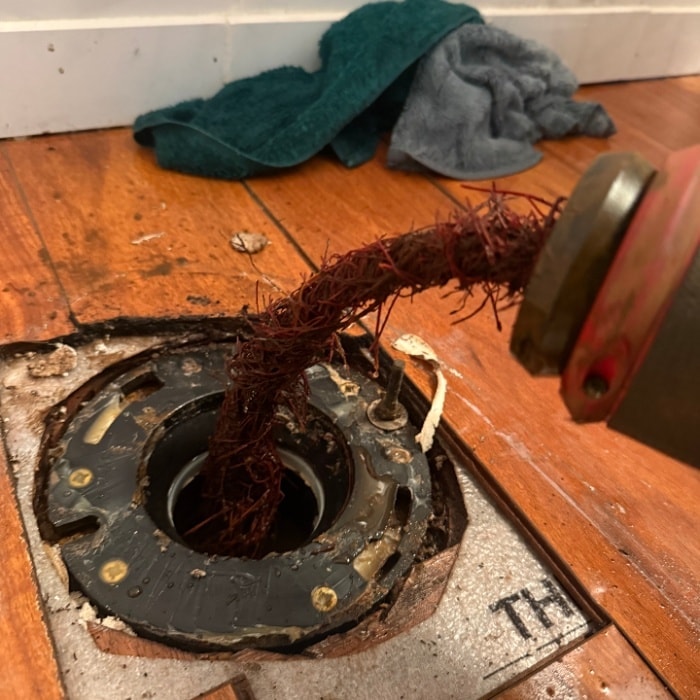 Drain Cleaning